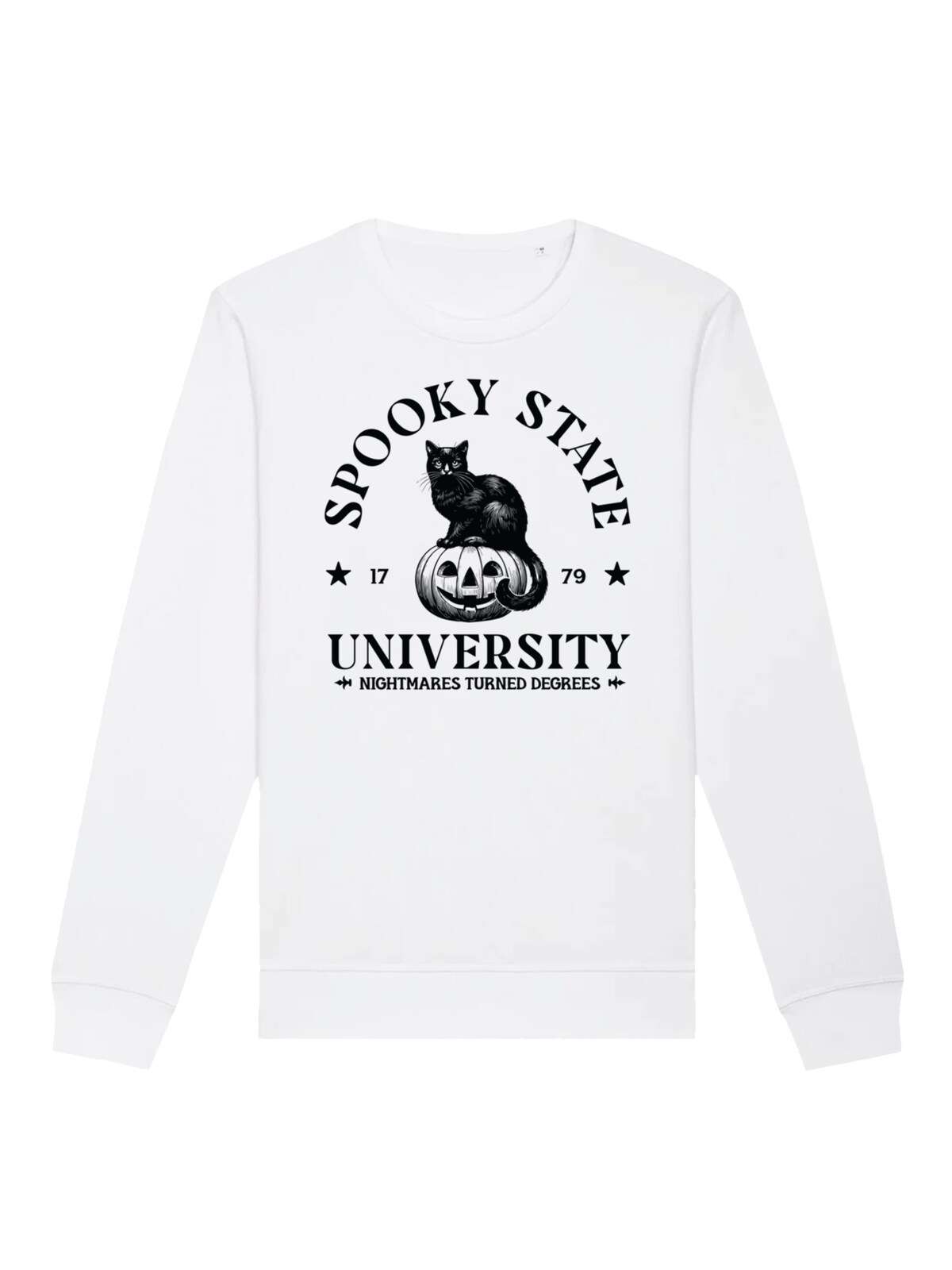 Свитшот Halloween University Spooky state cat