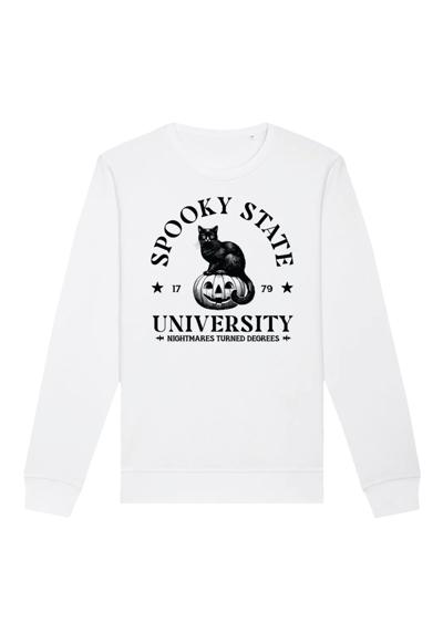 Свитшот Halloween University Spooky state cat