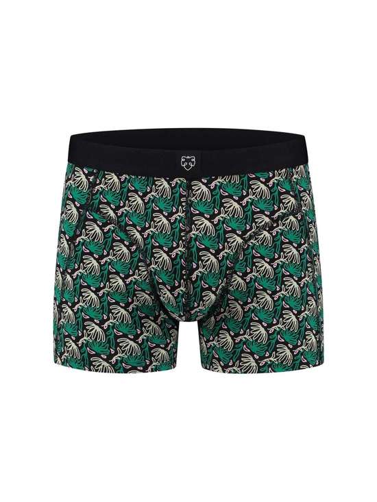 Боксеры SHOWERFLOWER