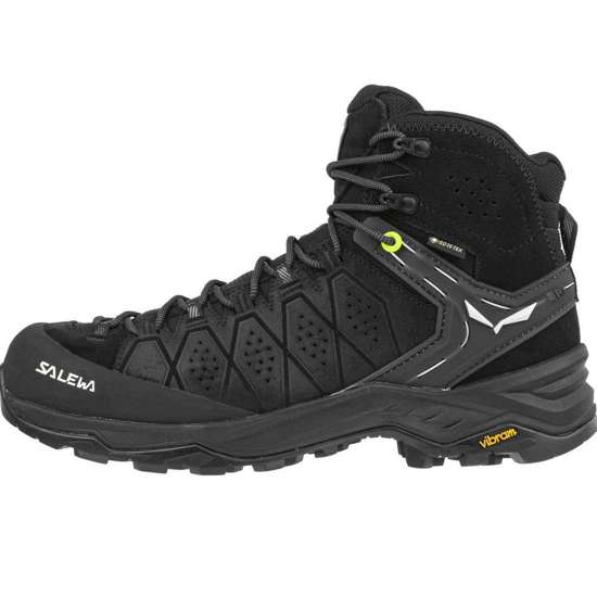 Ботинки Alp Trainer 2 Mid GTX