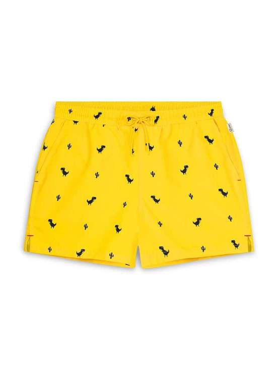 Шорты для плавания TYRANREX