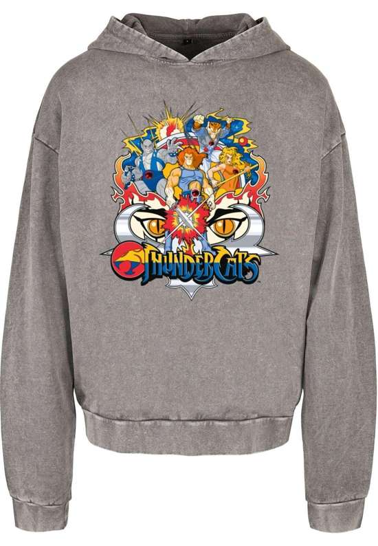 Свитшот Thundercats - Group Shot